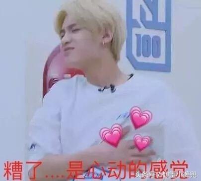 认识5分钟就壁咚亲亲……偶像剧编剧们学习一下这个街头配对节目！