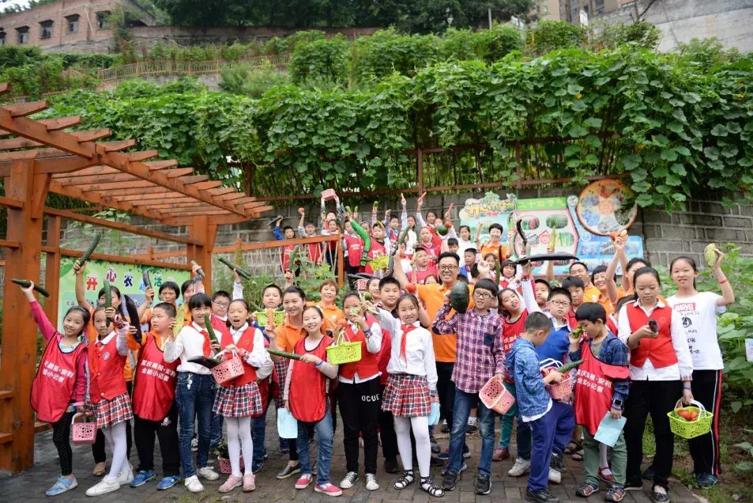 关爱儿童正能量直播,关爱儿童原创