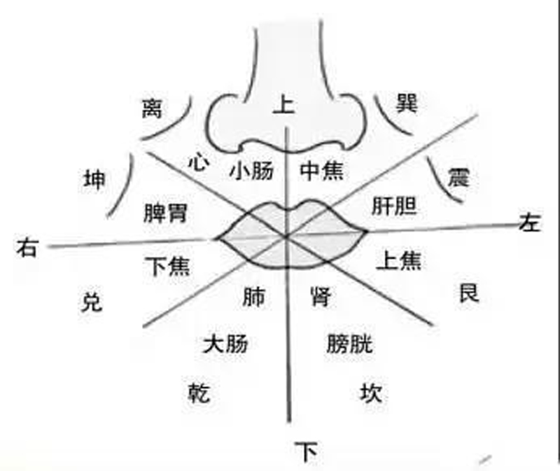 中医诊病望闻问切患者不配合,中医望闻问切重点归纳