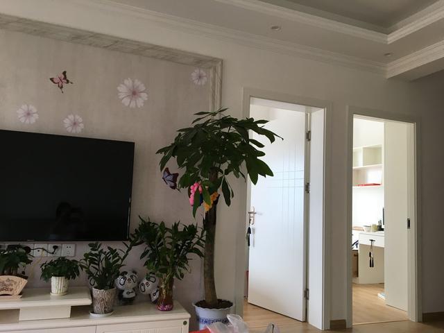 新房橱柜清理,uv漆橱柜效果图大全