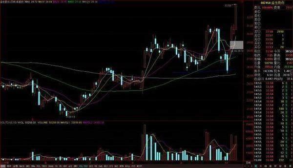 中国股市为什么老是亏钱,中国股市为何股民亏损严重