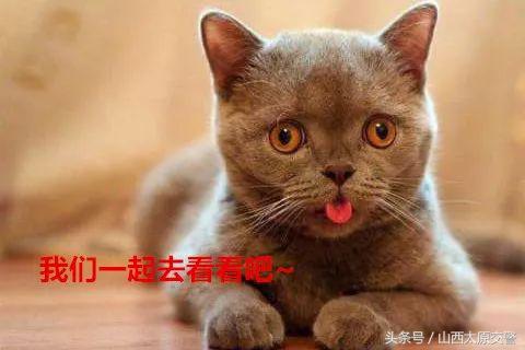 多方联动解决小街巷交通难题