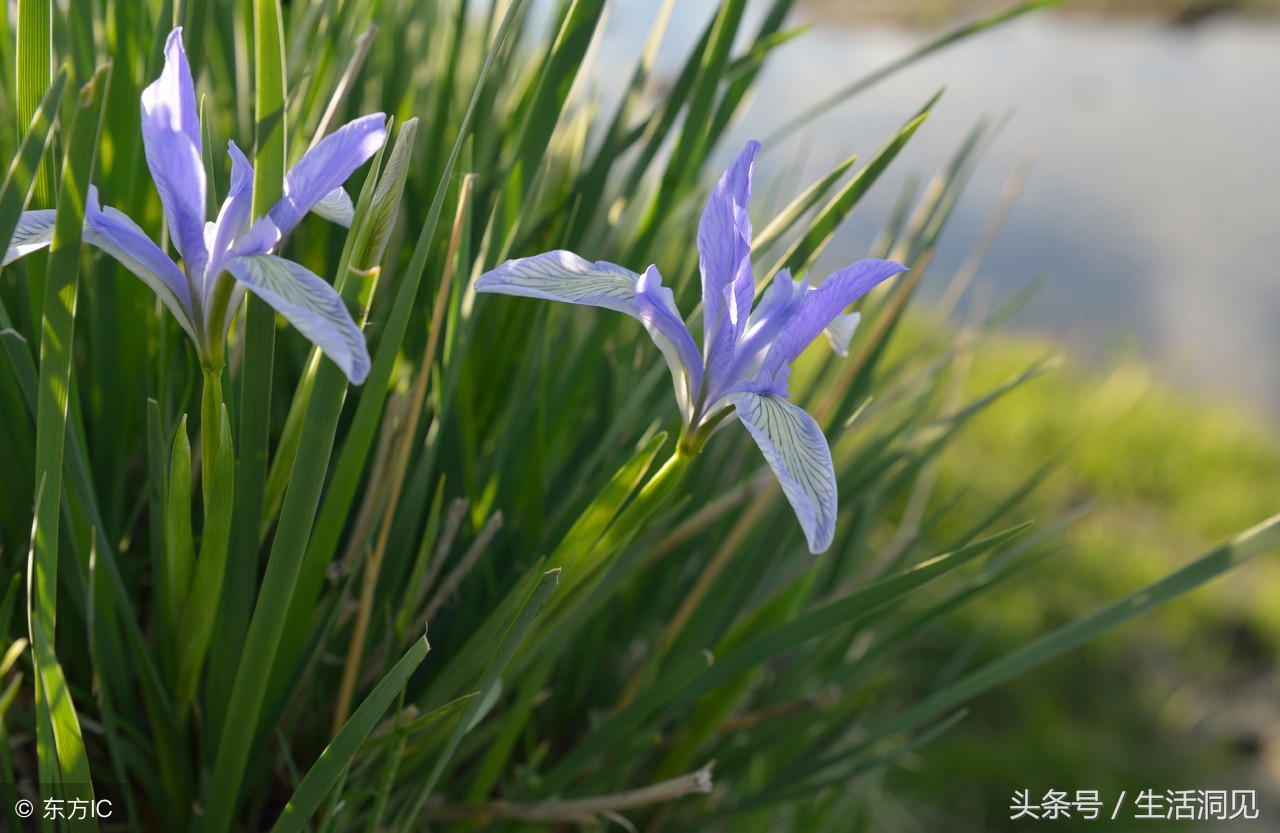 人到老了屁股会萎缩吗,马屁是不是随便拍的