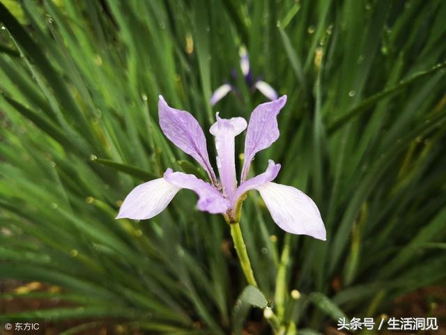 马屁拍的不响下一句,马屁拍得好不算啥能耐