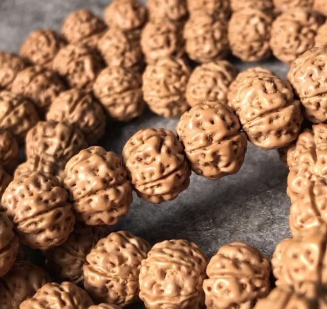 小金刚菩提价格如何判定,小金刚菩提瓣数