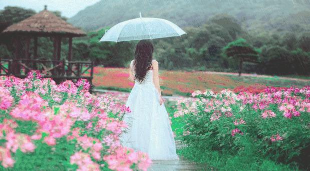 闆ㄥ悗鍒濇櫞鏄ュ厜鏄庡獨,闆ㄥ悗鍒濇櫞鏄ユ剰鐩庣劧