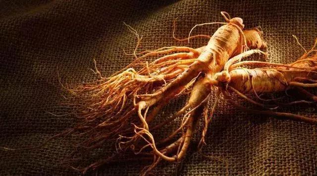 开车犯困用什么东西最有效果,开车犯困常备这几样