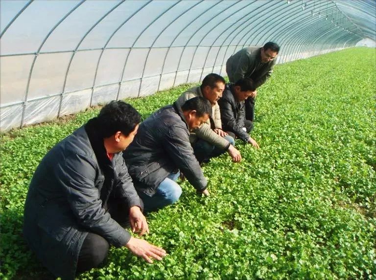 人物纪实微故事,人物传记小故事合集