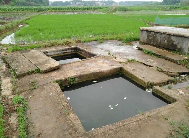 湖南留守儿童杀人案例,湖南两个幼女被害案