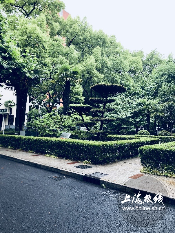 绿树成荫景色宜人清新空气,绿树成荫环境优美空气清新