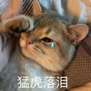 12315投诉医美退款,长沙医美纠纷退款技巧