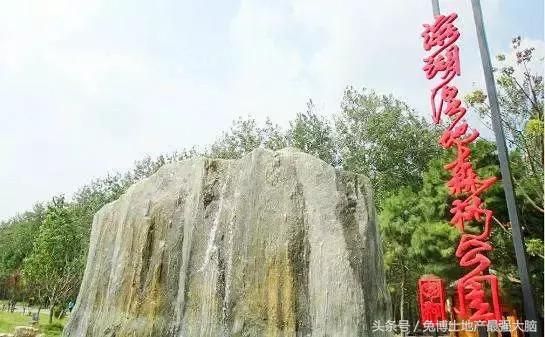 合肥招商雍华府170平洋房户型,合肥省府雍华府