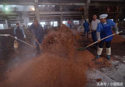 酿酒工艺与酿酒设备你真的了解吗,酿酒技术视频教程大全