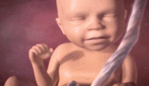 还记得第一次牵手的心跳么,感受当初胎动的感觉