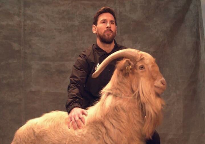 阿迪达斯这个广告创意打满分：阿根廷球星梅西抱着一只山羊