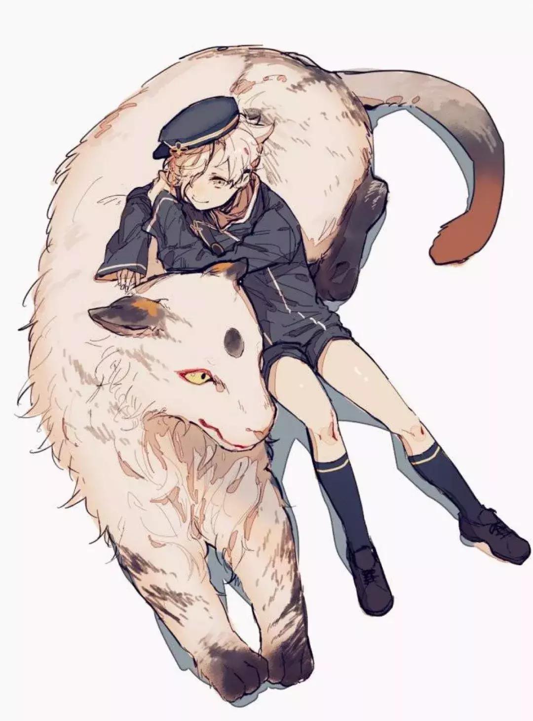 湘北五虎高清壁纸,百米五虎高清壁纸