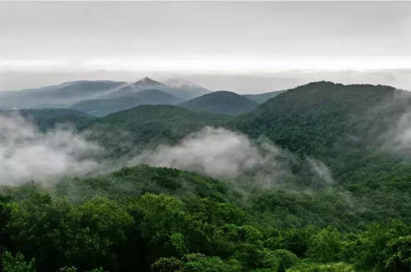 南京不老村，这个画得了插画、种得了花的萌大叔，亲自打造一个家