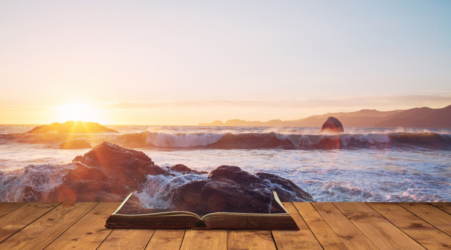 知识付费风口项目,知识付费下个风口
