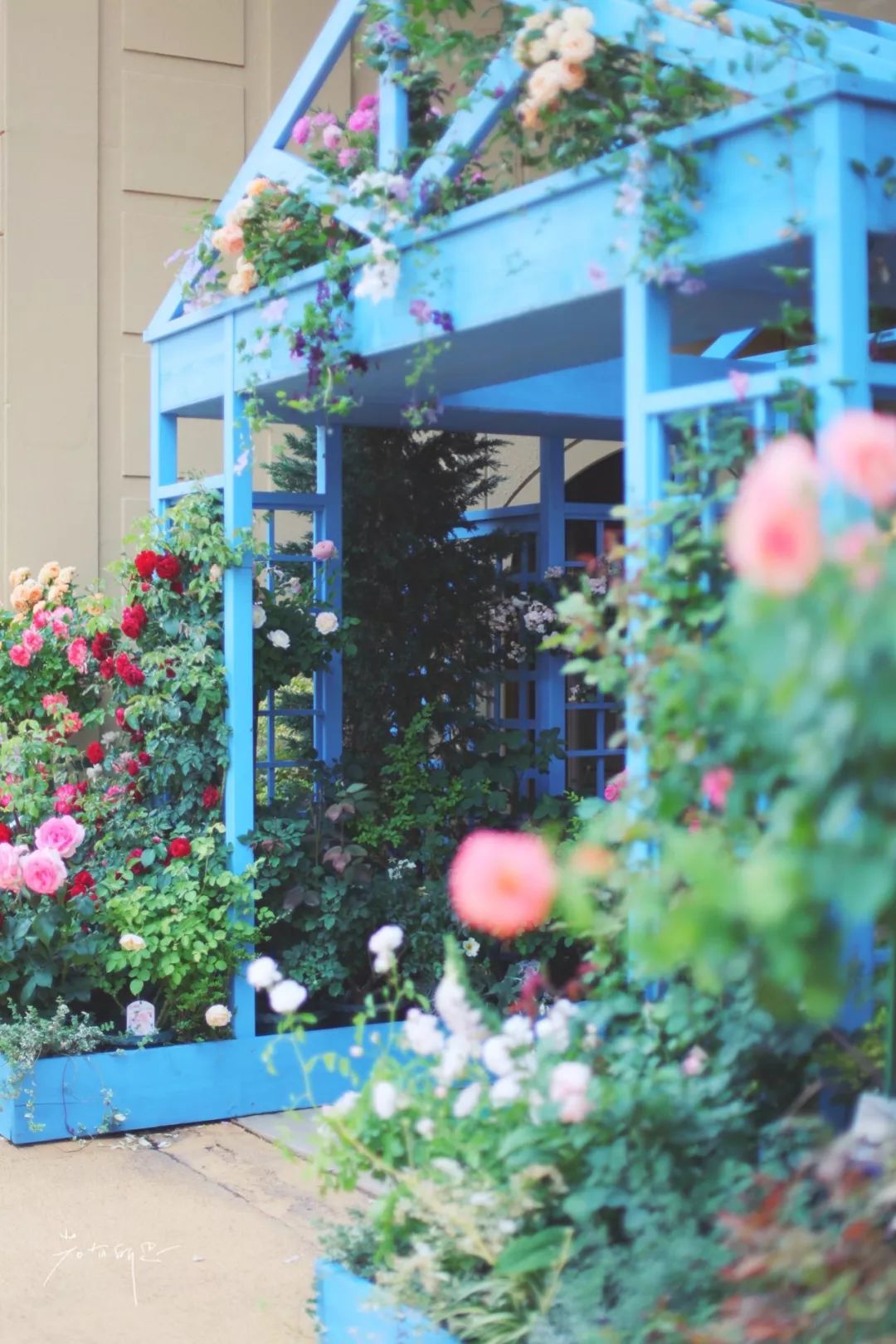 日本的哪个地方中国人不能去,日本什么地方很多中国人