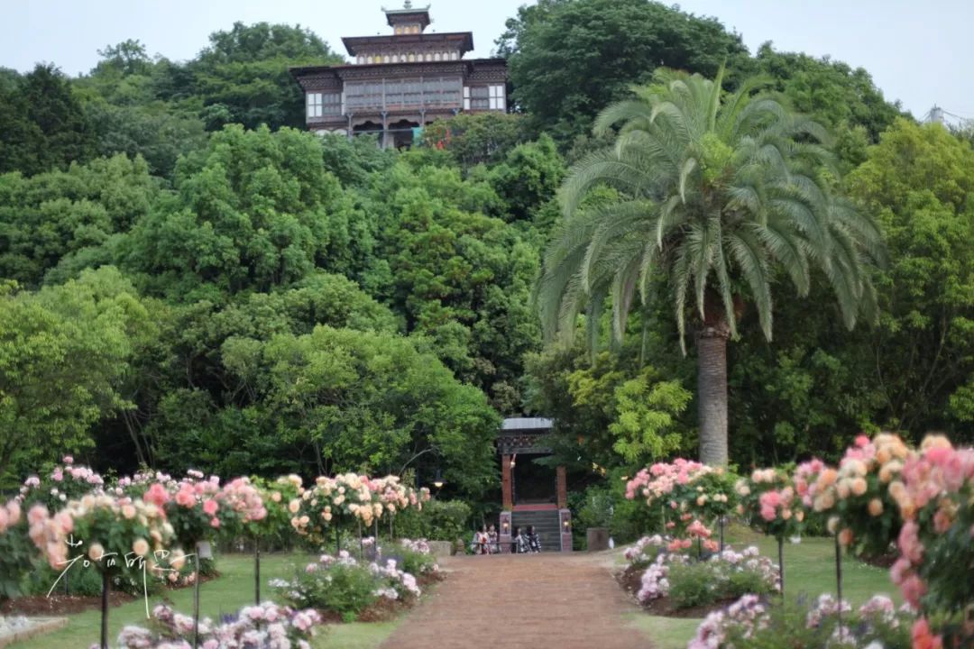 日本的这个地方，很少有中国游客，超级文艺治愈系！