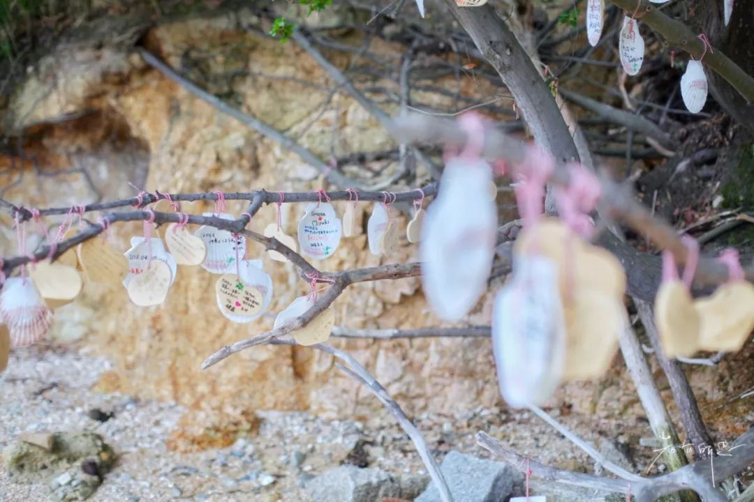 日本的这个地方，很少有中国游客，超级文艺治愈系！