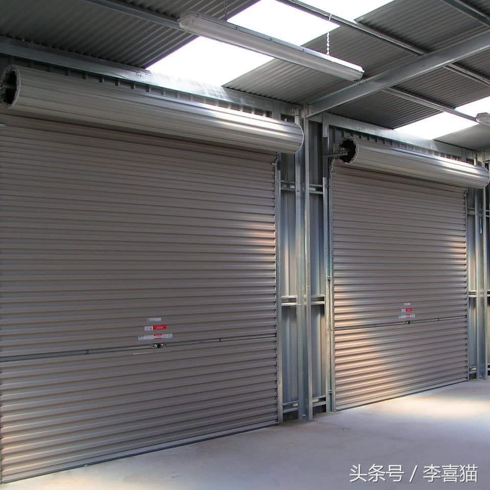 大名鼎鼎的中华气死猫,专业欺负铲屎官,谁养谁知道