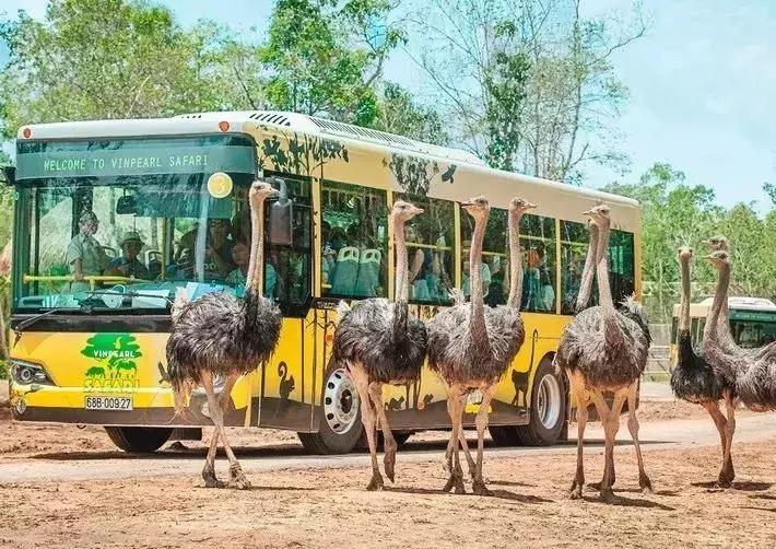 一个未被中国人攻陷的岛屿,4个免签的绝美海岛