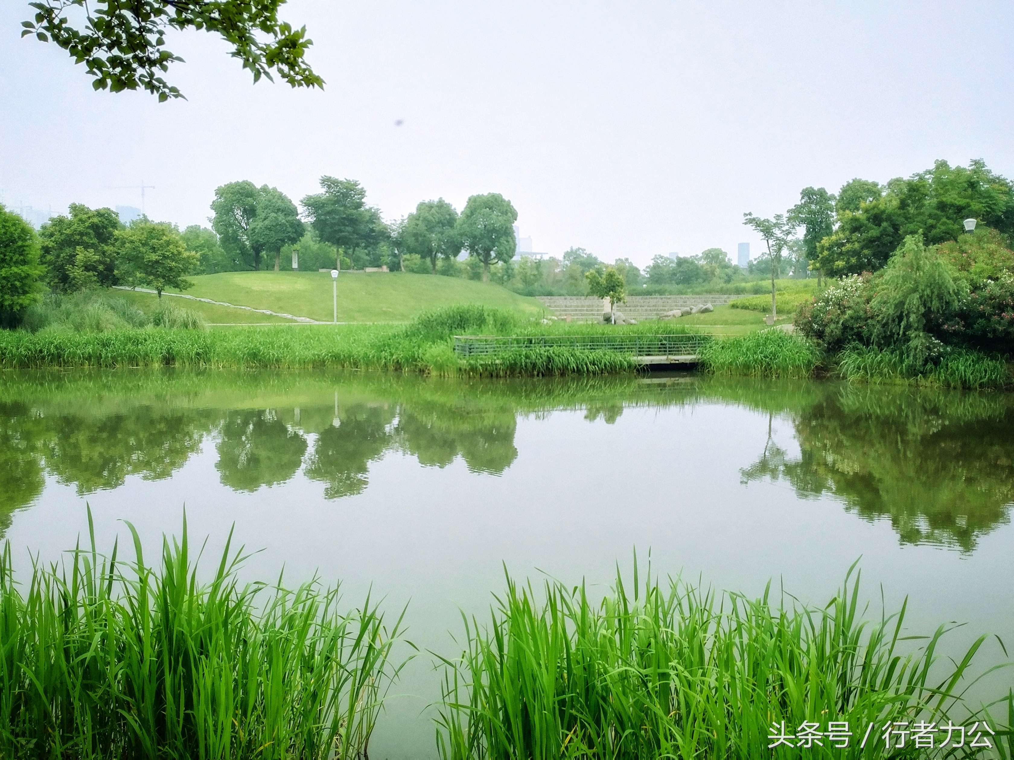 尚贤河湿地公园攻略,尚贤河湿地景点