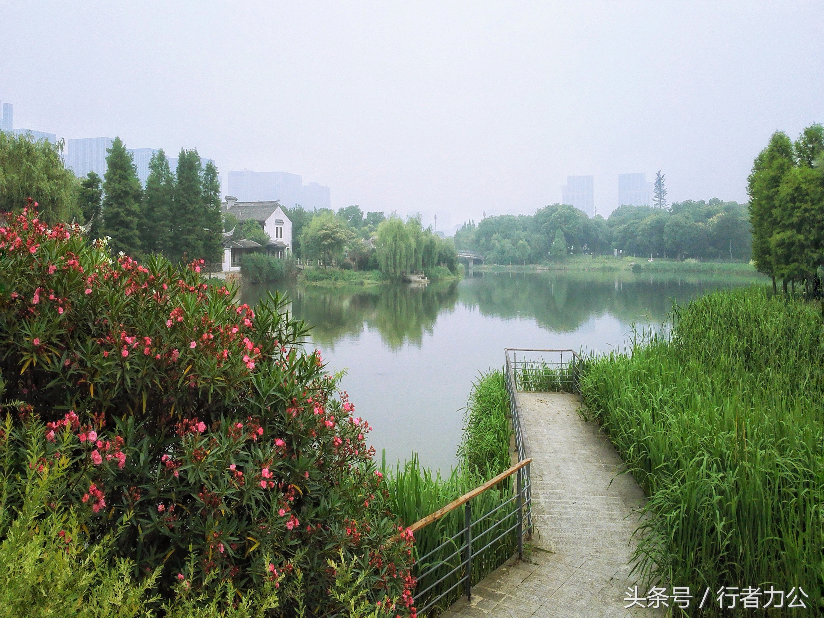 尚贤河湿地公园攻略,尚贤河湿地景点