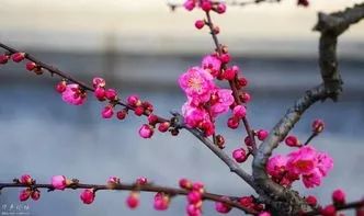 武汉这些“秘辛”,98%的人都不知道哦!