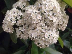 武汉这些“秘辛”,98%的人都不知道哦!