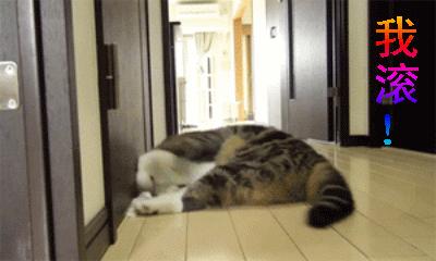 你给我滚出来表情包搞笑图片,给我滚表情图