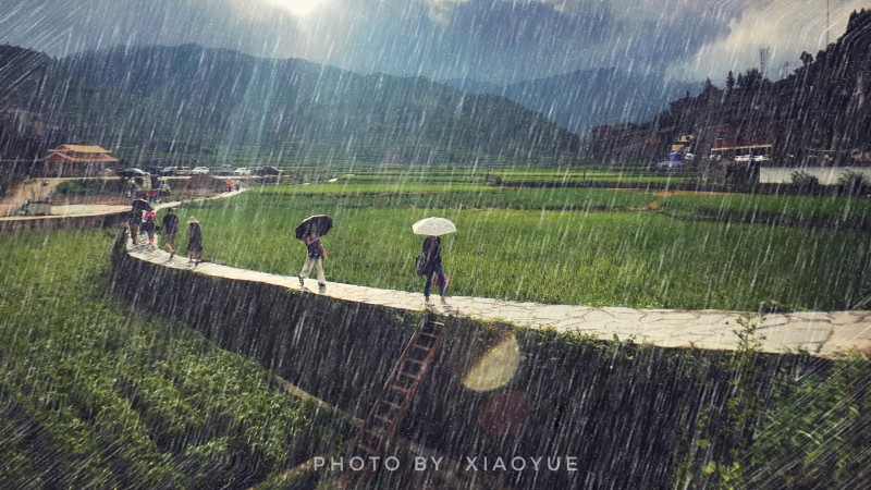 多种“玻璃水雾”、“大雨倾盆”特效｜手机一键搞定