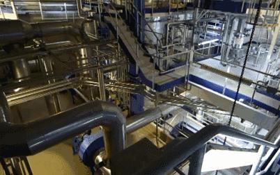 a2山寨奶粉,a2国产有假的吗