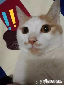 防范非法集资警惕非法集资陷阱,谨防非法集资骗钱