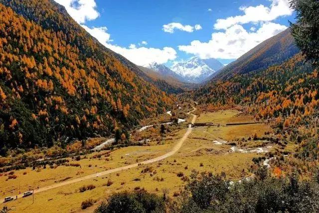 重庆西部航空最新消息,西部航空航班最新消息