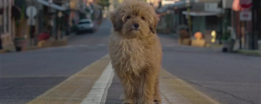 敲可爱的头衔,敲可爱头衔