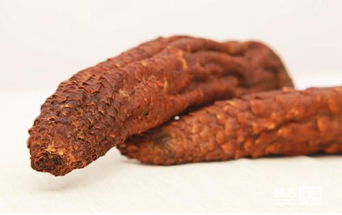 肉苁蓉能益精填髓吗,中医讲肉苁蓉功效视频