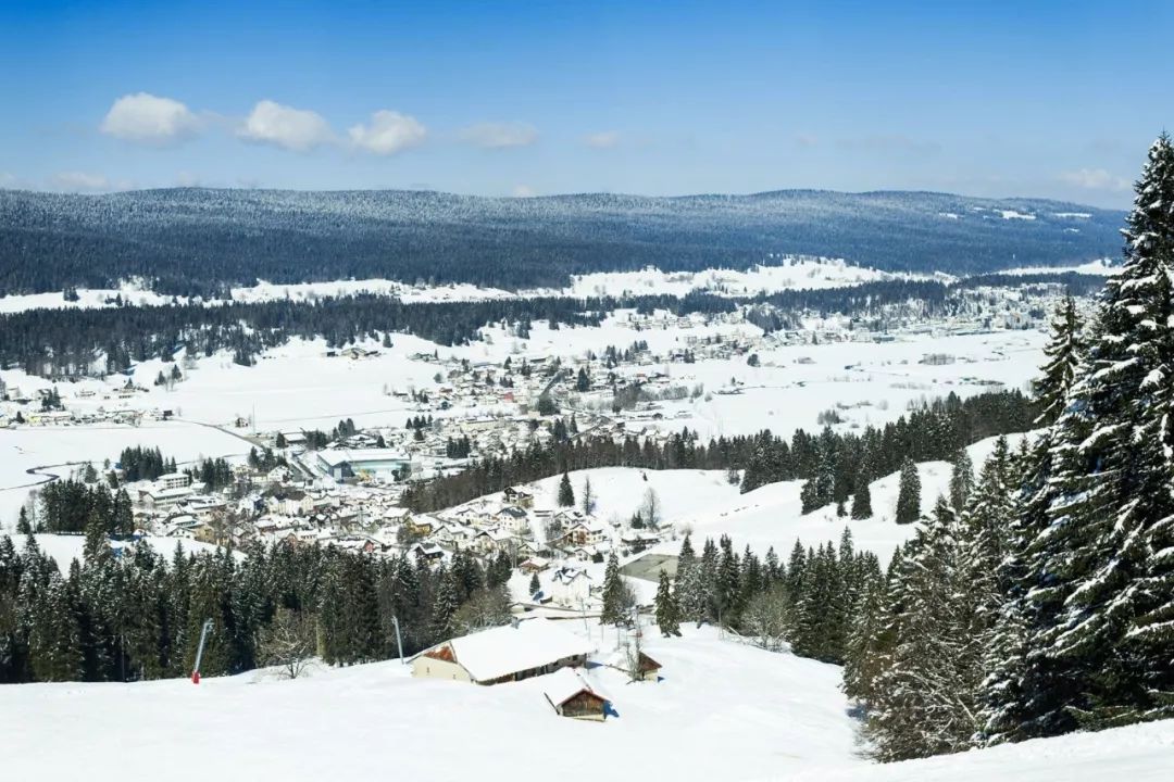 10大顶级腕表爱彼,名表排名前十的手表爱彼