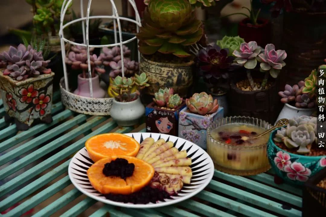 推开世界的门和自己和解,推开世界的门你所看到的风景