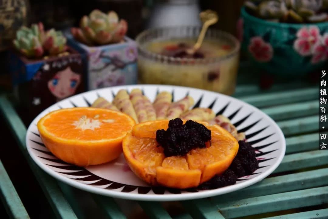 推开世界的门和自己和解,推开世界的门你所看到的风景