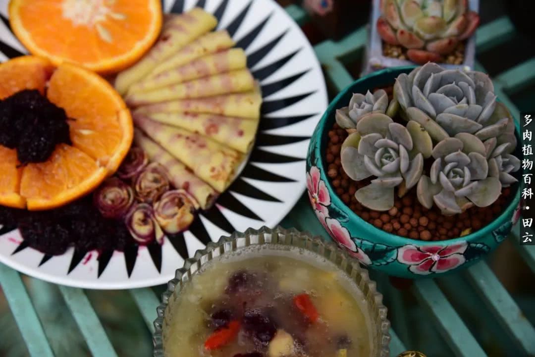 推开多肉世界的门，原来你与美食来自同一国度！