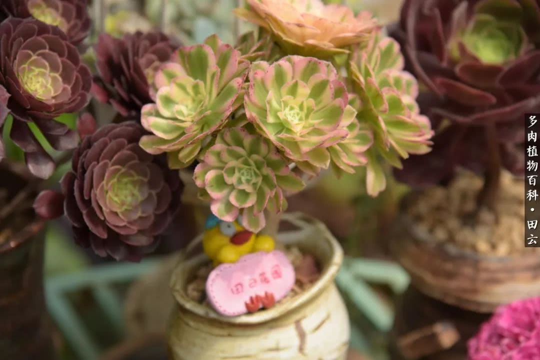 推开世界的门和自己和解,推开世界的门你所看到的风景