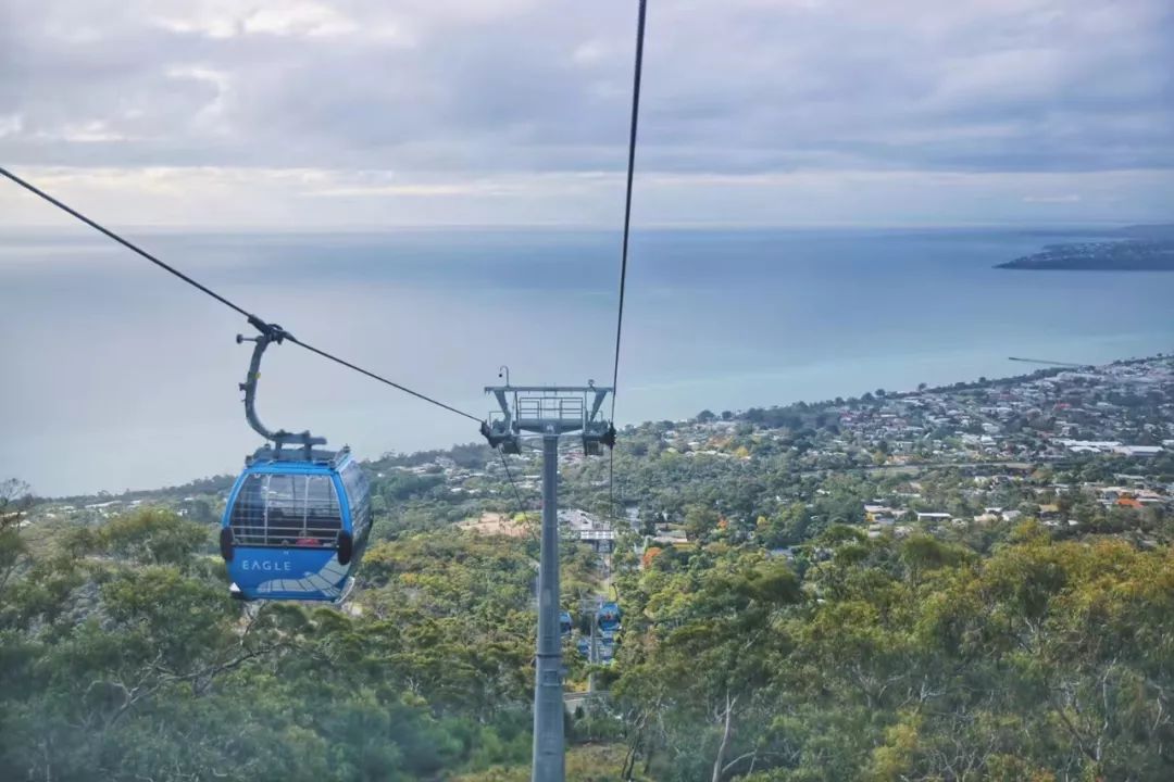 “新晋男友”李现代言的这个南半球网红城市，6月往返只需¥3000