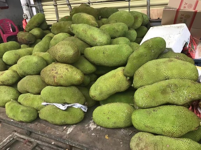 一个人的海口旅行,一个人的三亚自由行