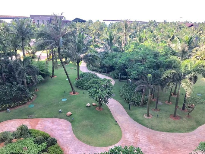 一个人的海口旅行,一个人的三亚自由行