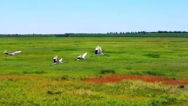 长春高速旅游攻略,自驾东北吉林省最美盘山公路
