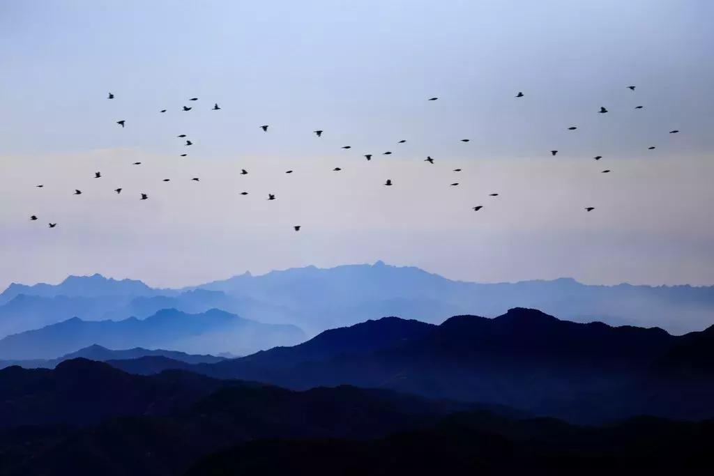 索尼黑卡rx100m7使用感受,索尼黑卡rx100m6使用多大的sd卡