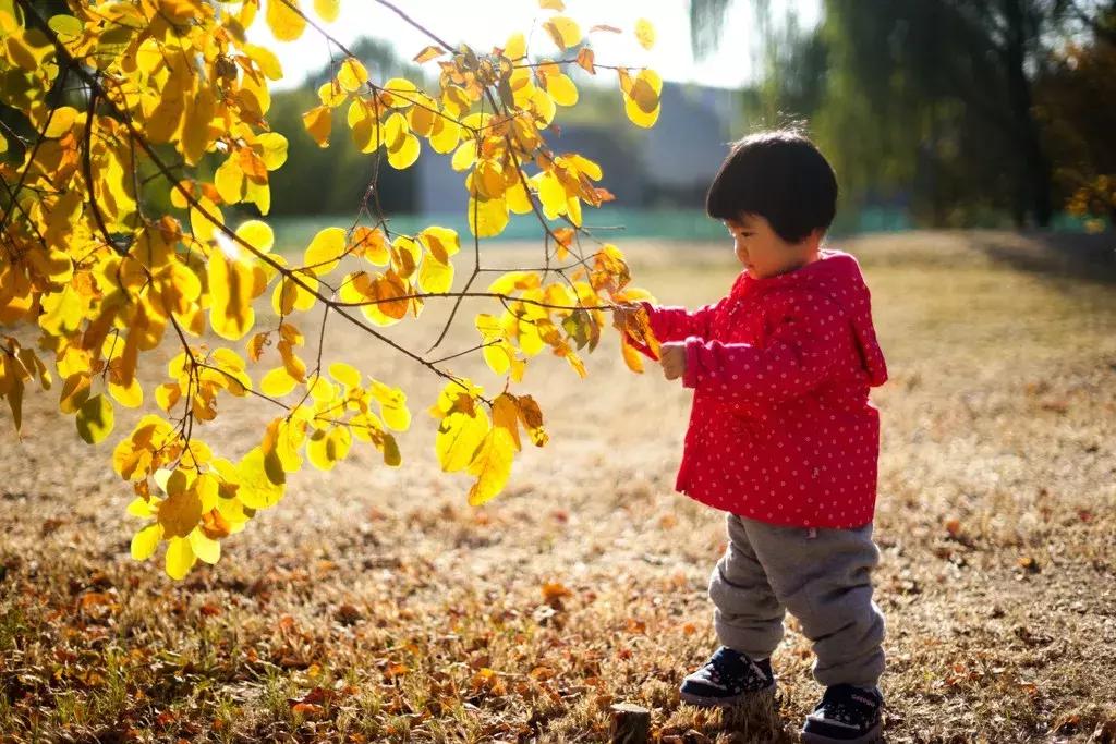 索尼黑卡rx100m6,索尼黑卡rx100m3g深度评测