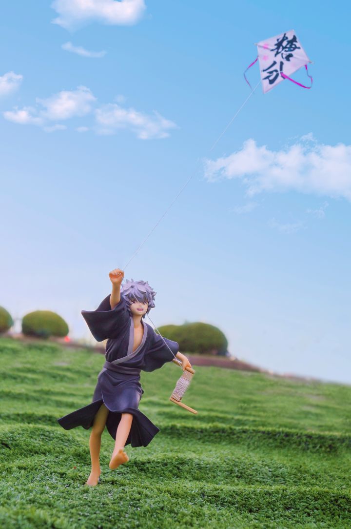 买高价手办,天价的手办